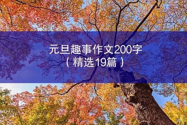 元旦趣事作文200字（精选19篇）