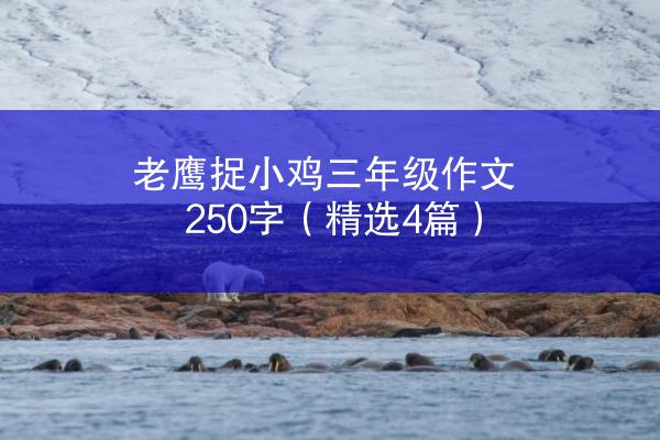 老鹰捉小鸡三年级作文250字（精选4篇）