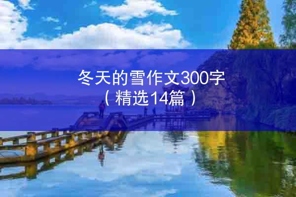 冬天的雪作文300字（精选14篇）