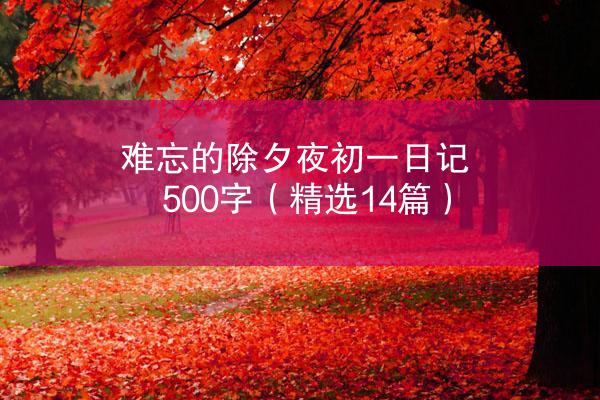 难忘的除夕夜初一日记500字（精选14篇）