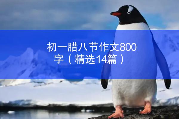 初一腊八节作文800字（精选14篇）