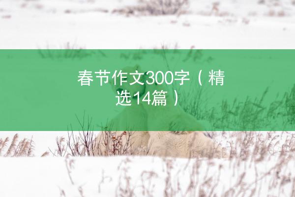 春节作文300字（精选14篇）