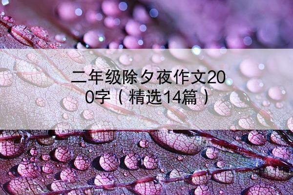 二年级除夕夜作文200字（精选14篇）