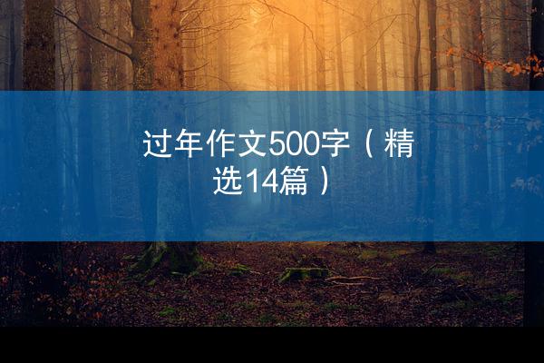 过年作文500字（精选14篇）