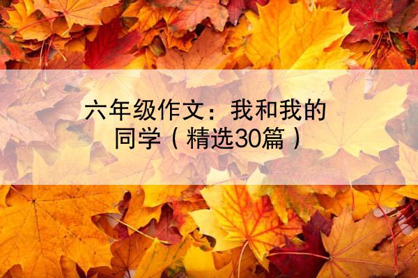 六年级作文：我和我的同学（精选30篇）