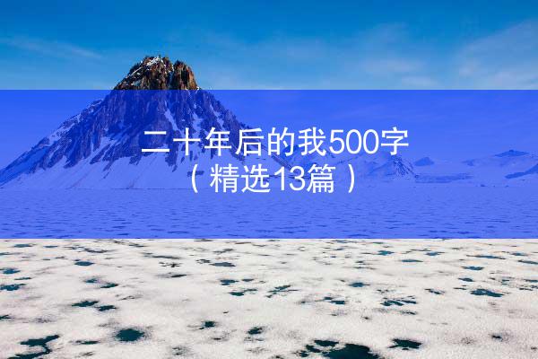 二十年后的我500字（精选13篇）