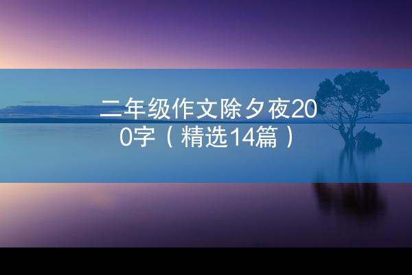 二年级作文除夕夜200字（精选14篇）