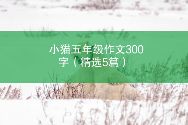 小猫五年级作文300字（精选5篇）