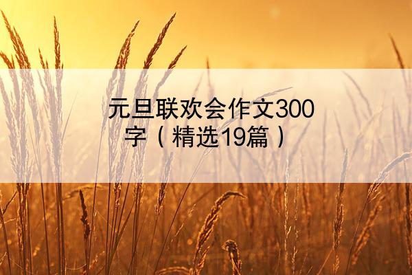 元旦联欢会作文300字（精选19篇）