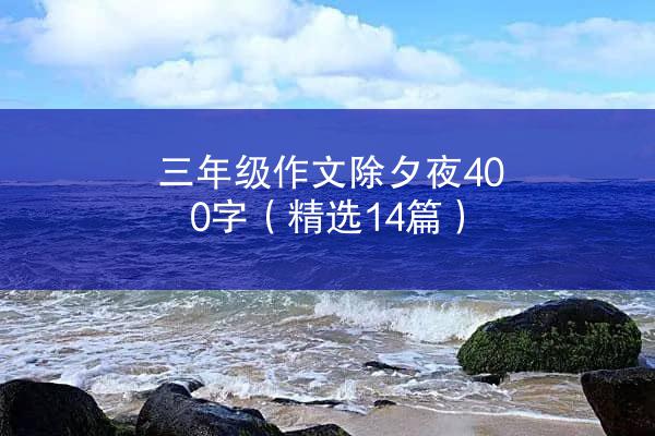 三年级作文除夕夜400字（精选14篇）